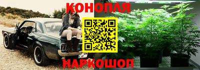 ГАЛЛЮЦИНОГЕННЫЕ ГРИБЫ Краснознаменск