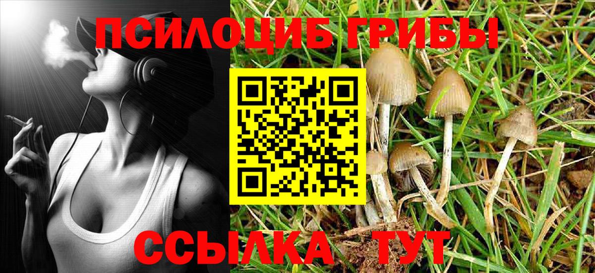 Галлюциногенные грибы GOLDEN TEACHER Изобильный