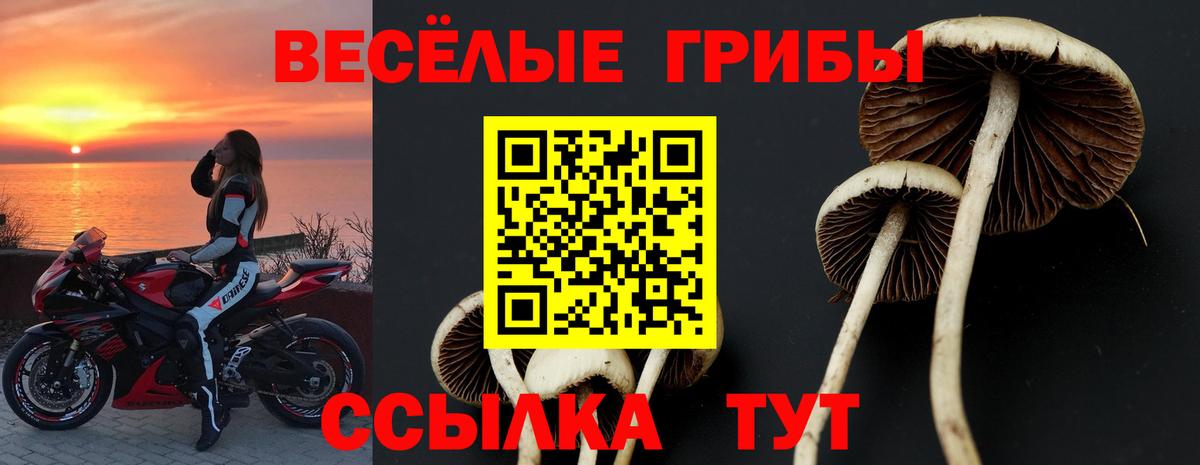 Галлюциногенные грибы мухоморы  Галлюциногенные грибы Magic Shrooms  Изобильный  Вход с VPN 